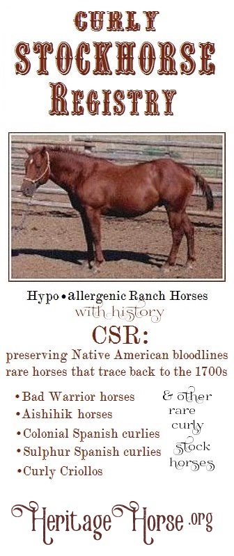 Curly Stockhorse Registry