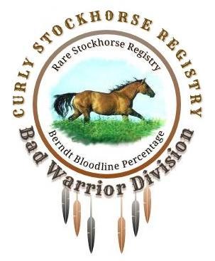 CSR Bad Warrior Division